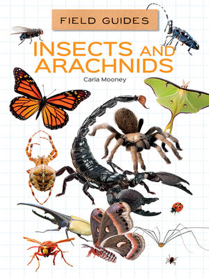 cover image of Insects and Arachnids